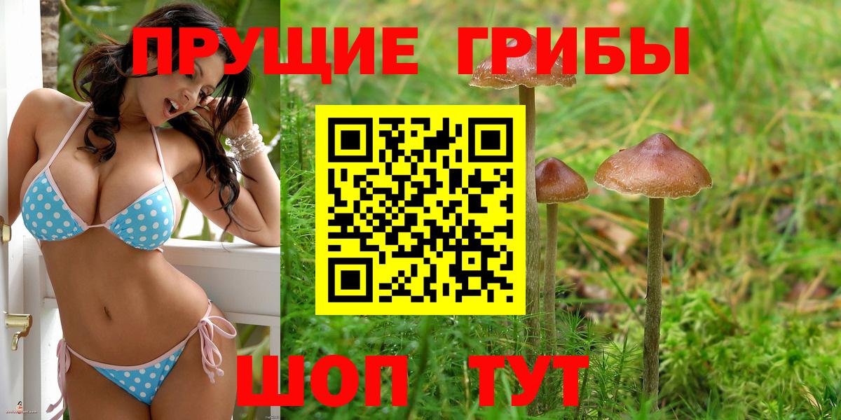 Галлюциногенные грибы Psilocybe  Вход с VPN  Галлюциногенные грибы мухоморы  магазин  наркотиков  Махачкала 